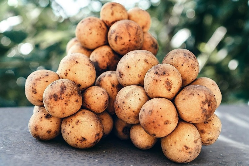 Bòn bon có tác dụng giảm nồng độ axit uric trong máu.
