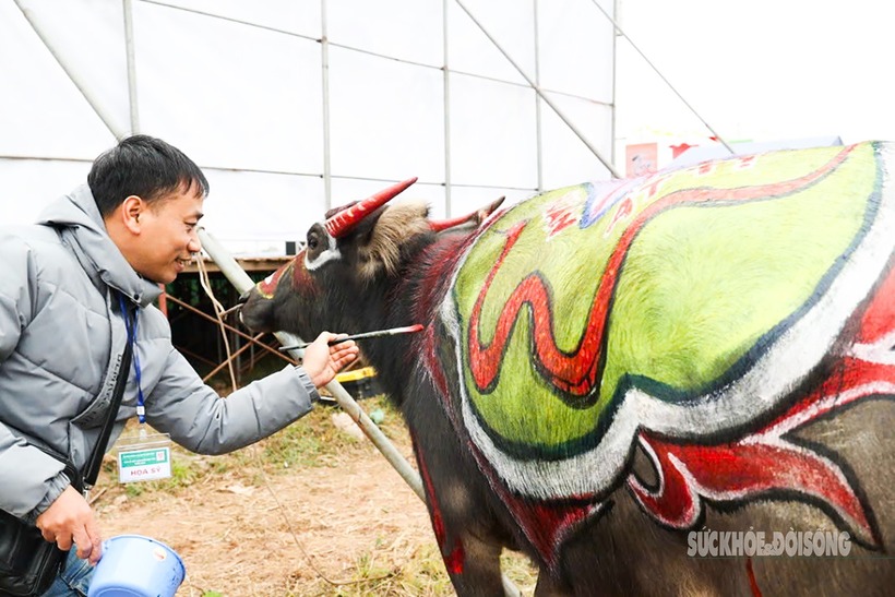 Bà Nguyễn Thị Đông, chủ trâu số 5 cho biết, lễ hội Tịch điền Đọi Sơn thường chọn trâu cái tham gia do bản tính hiền lành, dễ điều khiển. Trong lúc vẽ, chủ trâu sẽ có mặt để giữ trâu, đảm bảo an toàn cho họa sĩ