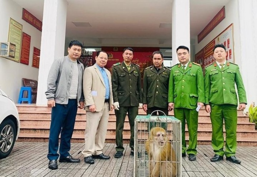 Lực lượng chức năng tiếp nhận cá thể khỉ vàng. Ảnh: Sức khoẻ & Đời sống