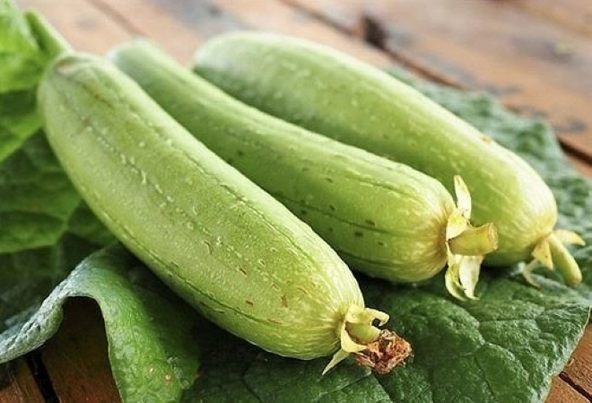 Mướp không chỉ là thực phẩm ngon miệng mà còn là vị thuốc quý với nhiều công dụng chữa bệnh tuyệt vời.