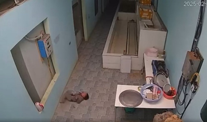 Trong tích tắc, bé trai hoảng loạn tột độ, tiếng khóc thét vang vọng xé tan sự tĩnh lặng, thân hình nhỏ bé đau đớn lăn lộn trên sàn nhà. Ảnh cắt từ clip