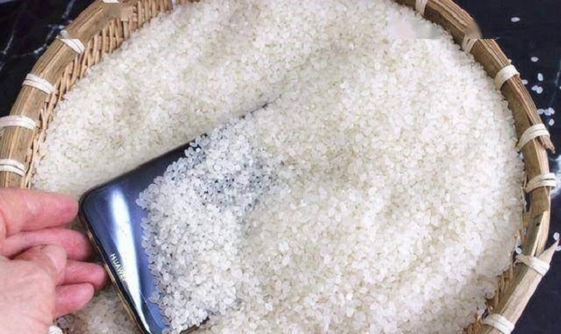 Gạo có khả năng hút ẩm và khử mùi hôi hiệu quả. Việc đặt gạo dưới gối giúp gối luôn khô ráo, sạch sẽ, ngăn ngừa sự phát triển của vi khuẩn và nấm mốc.