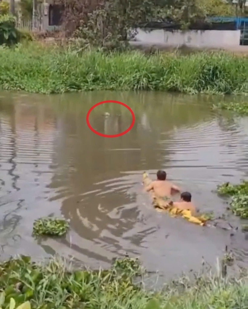 2 người đàn ông dùng cây chuối lao xuống kênh cứu người phụ nữ định tự tử. Ảnh: Vietnamnet.