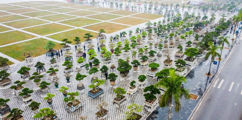 Năm nay, Lễ hội Khai ấn tổ chức từ ngày 8 -13/2 (tức ngày 11 - 16 tháng Giêng âm lịch), Ban tổ chức sẽ phát ấn lộc cho nhân dân và du khách từ 5h sáng 12/2 (tức 15 tháng Giêng), tại 3 địa điểm: Nhà Giải vũ, Nhà Trưng bày và Đền Trùng Hoa. Hơn 200 nhà vườn mang đến khoảng 500 cây cảnh trưng bày tại quảng trường Đông A, khu di tích lịch sử văn hóa Đền Trần – Chùa Tháp.