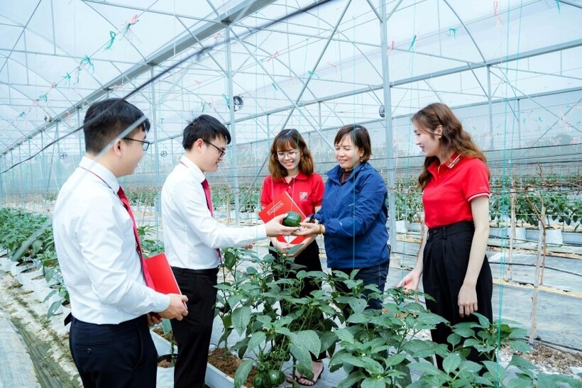 Hơn 40,000 mô hình xanh trên cả nước đang được tài trợ bởi nguồn vốn từ Agribank