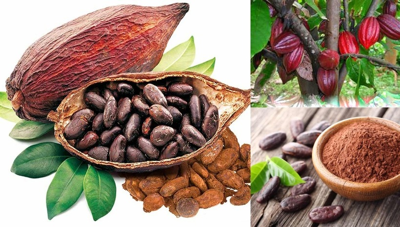 Loại hạt có nhiều ở Việt Nam, là “thần được” ngừa cả đau tim và đột quỵ - 1