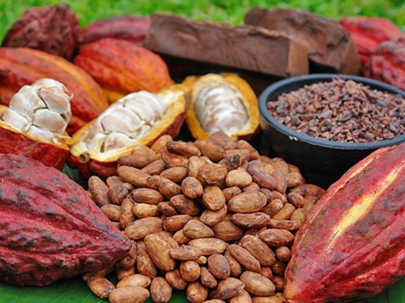 Loại hạt có nhiều ở Việt Nam, là “thần được” ngừa cả đau tim và đột quỵ - 2
