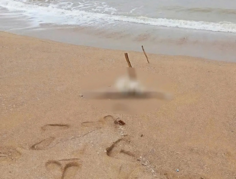 Hiện trường nơi phát hiện thi thể. (Ảnh: Pháp luật TP.HCM)