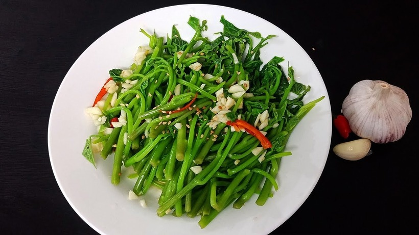 Rau khoai lang có thể được trồng dễ dàng bằng cách giâm cành, vừa nhanh có rau ăn vừa giữ nguyên giá trị dinh dưỡng.