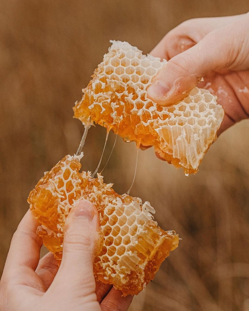 Manuka nổi lên như một "gương mặt vàng" với mức giá khiến nhiều người không khỏi giật mình.