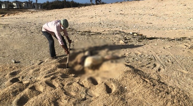Người dân phát hiện phần thi thể nữ từ thắt lưng trở xuống dạt vào biển Ninh Thuận. (Ảnh: Tuổi trẻ)