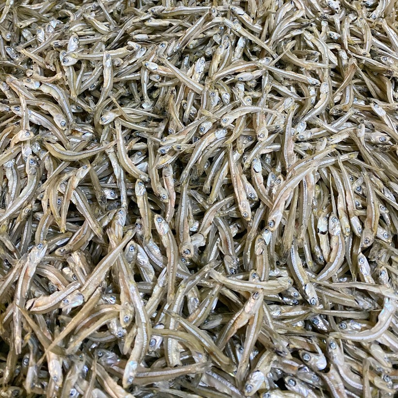 Đi chợ gặp loại cá này nhất định phải mua, chúng vừa sạch vừa không chứa thủy ngân hại gan thận! - 1