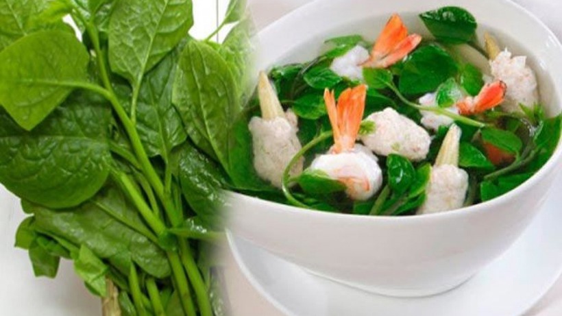 Rau mồng tơi là một thực phẩm bổ dưỡng, mang lại nhiều lợi ích cho sức khỏe, đặc biệt trong những ngày hè
