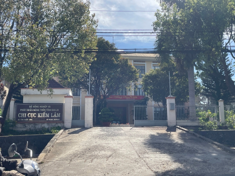 Tại Chi cục Kiểm lâm Gia Lai, ông Dương Hoàng Nguyện, Phó Chi cục trưởng cùng nhiều lãnh đạo cấp phòng xin nghỉ hưu trước tuổi. Ảnh: Người Lao Động