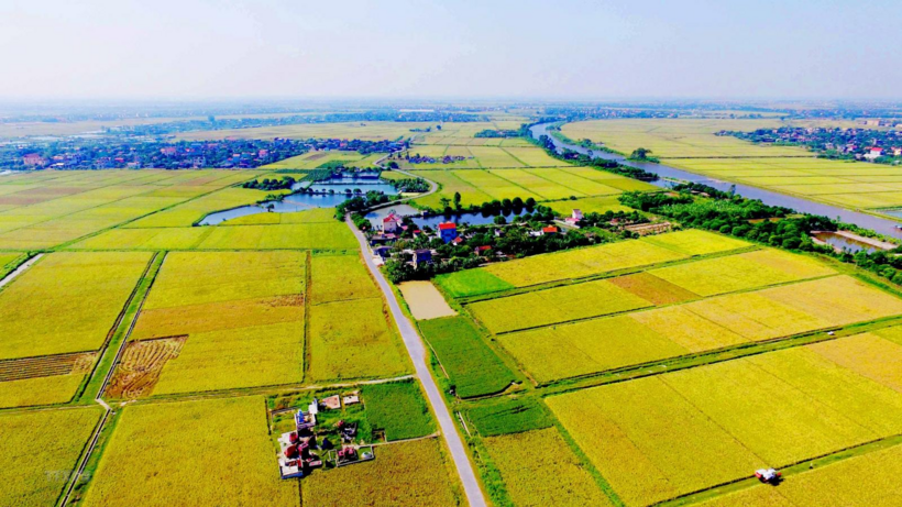 Chuyển đất nông nghiệp sang đất thổ cư hết bao nhiêu tiền? Ảnh minh hoạ