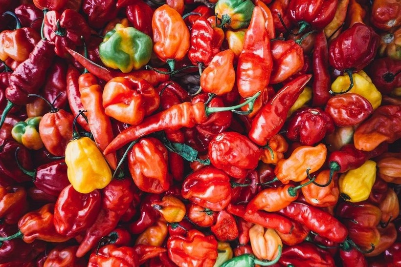 Những người có vấn đề về thận cũng nên kiểm soát tốt chuyện ăn uống, nhất là gia vị cay.