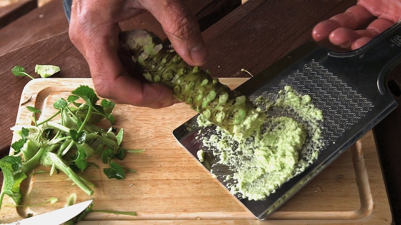 Mỗi củ Wasabi khi thu hoạch chỉ nặng trung bình khoảng 300 gram.