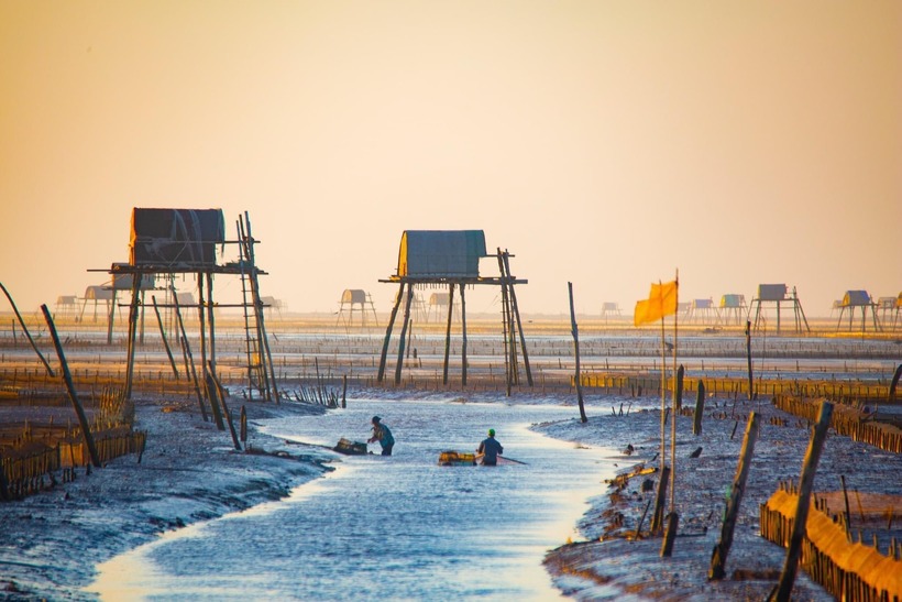 Những ngư dân bắt đầu ra khơi đánh bắt, những con chim bay lượn trên bầu trời, tất cả tạo nên một nhịp điệu sống động và tràn đầy năng lượng.