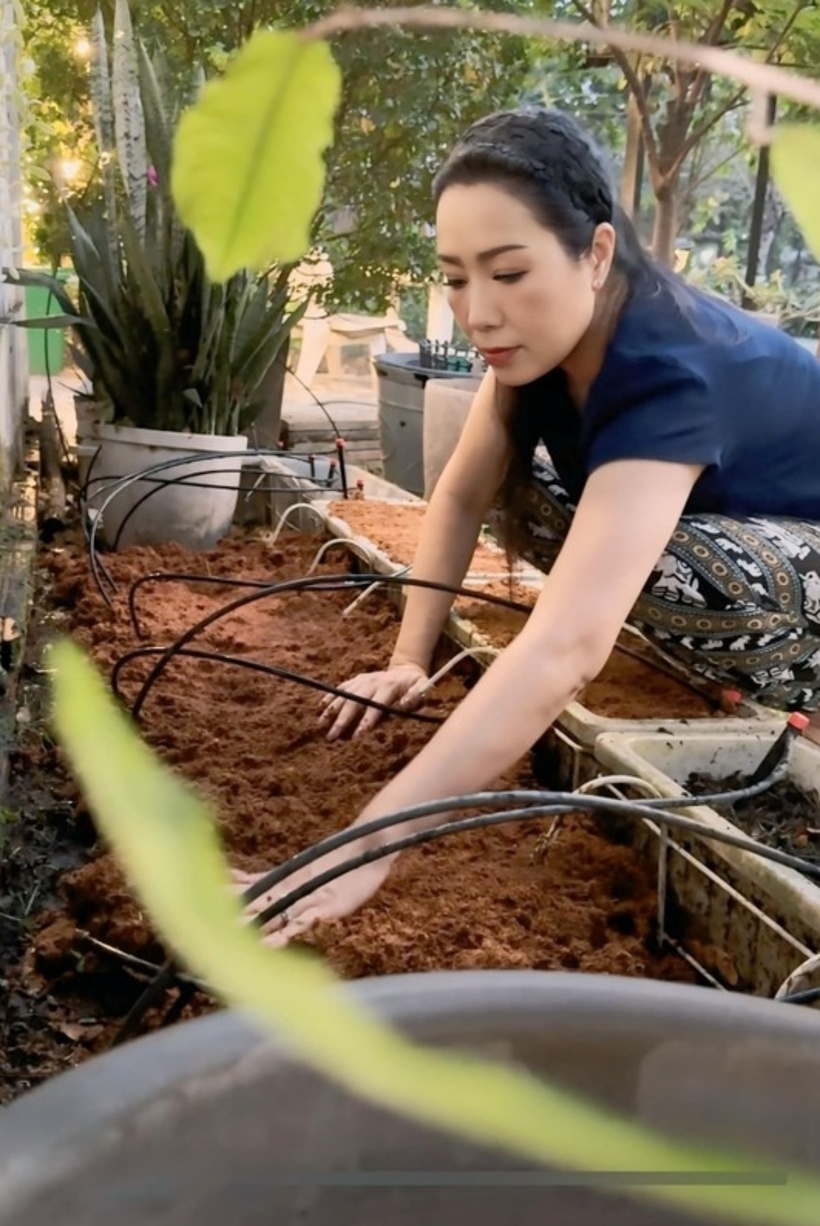 Mới đây, NSND Trịnh Kim Chi thu hút sự chú ý của khán giả khi chia sẻ khoảnh khắc lao động trong vườn nhà.