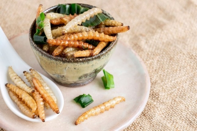 Trung Quốc nổi tiếng với ẩm thực đa dạng, nhưng một số món đặc sản địa phương vẫn khiến du khách "dè chừng". Ảnh: News.