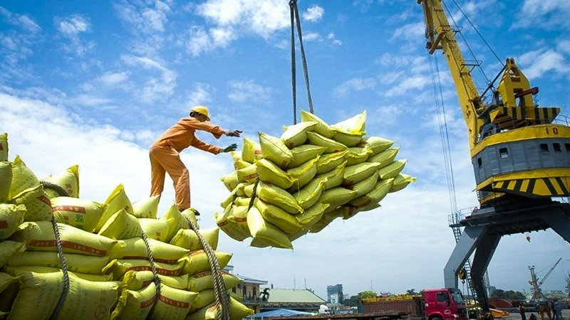 Xuất khẩu gạo gặp khó, Thủ tướng chỉ đạo có phương án mua dự trữ để chủ động ứng phó. (Ảnh: Pháp luật TP.HCM)