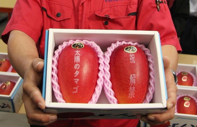 Giá bán của xoài "Taiyo no Tamago" thường dao động ở mức gần 4.000 USD/cặp (tương đương gần 100 triệu đồng/cặp).