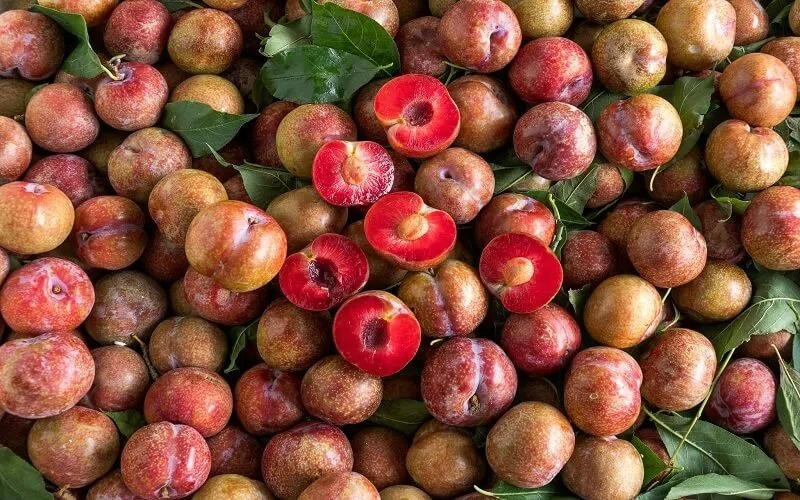 Những người mắc bệnh thận cũng phải tránh ăn mận.