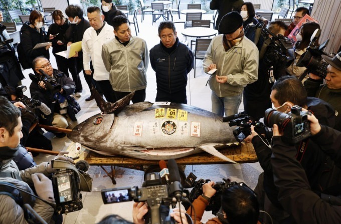 Con cá ngừ được đấu giá tại chợ Toyosu, Tokyo, Nhật Bản. Ảnh: Bloomberg