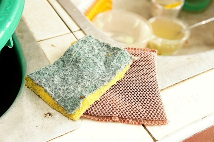 Miếng rửa bát được coi là nơi tập trung nhiều nhất của vi khuẩn E. coli và các vi khuẩn khác trong nhà. Ảnh minh họa