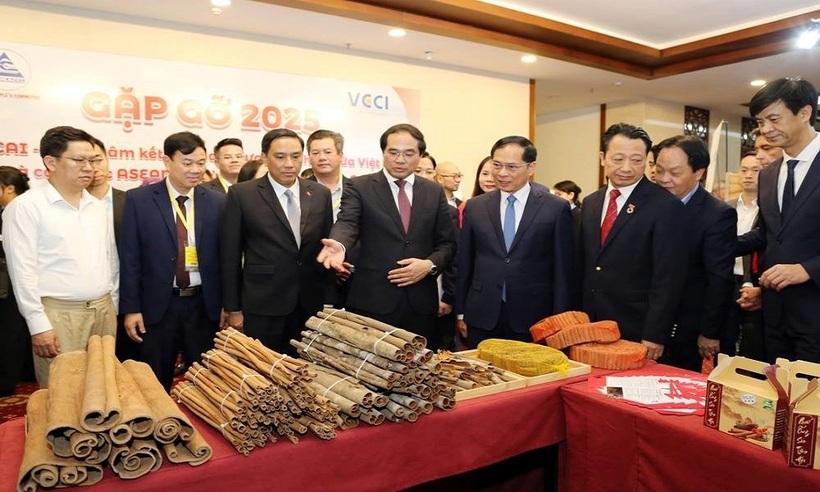 Phó Thủ tướng Chính phủ cùng lãnh đạo bộ, ngành, tỉnh Lào Cai tham quan một số gian hàng quảng bá, giới thiệu các sản phẩm địa phương.