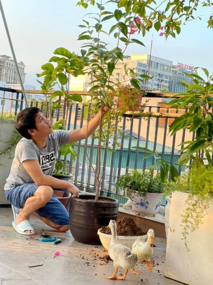 Trên trang cá nhân, Trọng Tấn và bà xã thường chia sẻ những không gian xanh mướt, yên bình trong căn nhà.