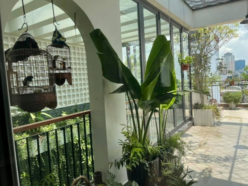 Được biết, nam ca sĩ trồng rau theo mùa, ví dụ như vào vụ thu đông, anh trồng rau cải, súp lơ, su hào,… còn vụ hè trồng cả dưa lưới nên rau quả sạch cho thu hoạch quanh năm.