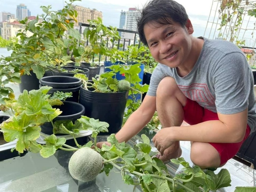 Do phục vụ cho gia đình nên Trọng Tấn trồng rau theo phương pháp hữu cơ, thường lấy lá, cành, hoa héo và ủ thành phân hữu cơ để bón cho cây. Bên cạnh đó, anh cũng chịu khó bắt sâu để có rau sạch ăn.
