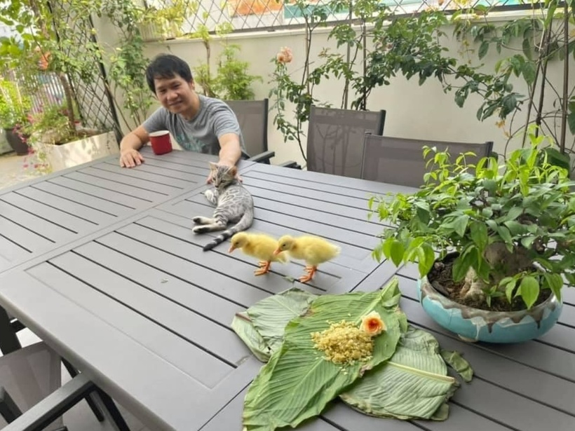 Cơ ngơi “triệu đô” của sao Việt: Không gian xanh mát trong ngôi nhà giữa phố của Trọng Tấn - 9