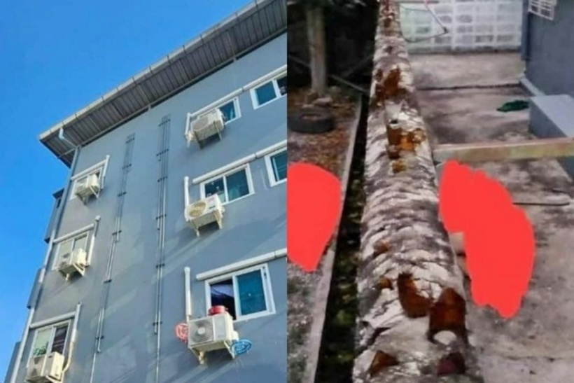 Nơi xảy ra vụ việc. Ảnh: Thethaiger.