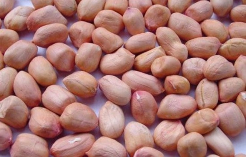 Ăn đậu phộng vào mùa đông giúp ngừa đột quỵ? - 2