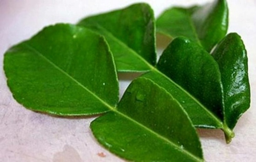 Sự hấp dẫn của lá chanh Việt Nam không chỉ nằm ở hương vị mà còn ở tiềm năng kinh tế mà nó mang lại. Ảnh minh họa.