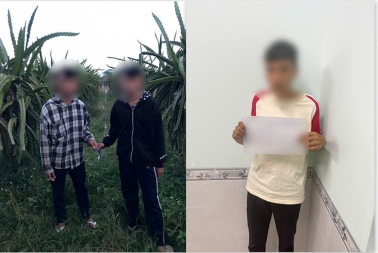 3 học sinh lớp 9 trộm hơn 120m dây điện chong đèn thanh long. Ảnh: Sức khoẻ & Đời sống