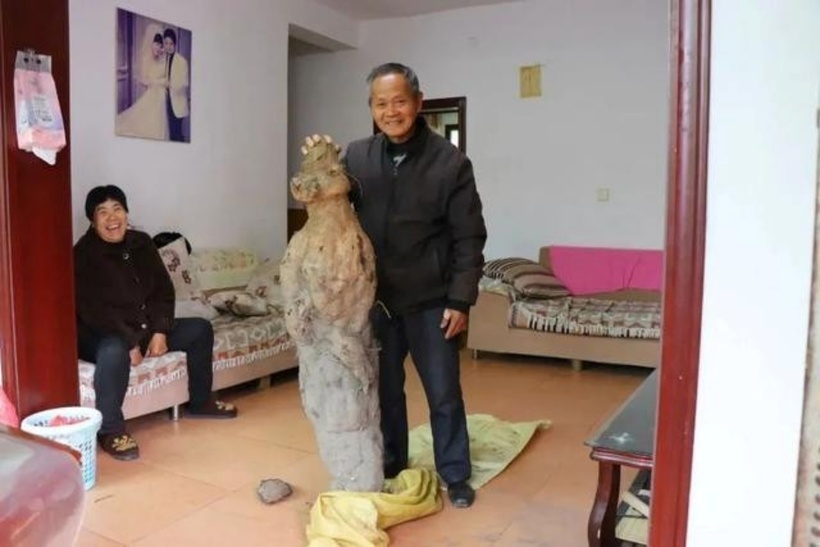 Từ khi ông Lý đào được kho báu, căn nhà của ông liên tục tiếp những vị khách giàu có đến hỏi mua.