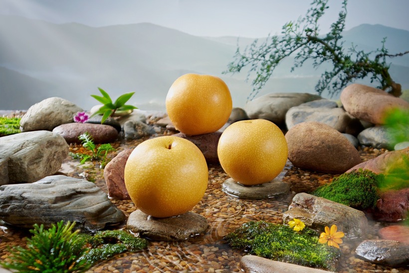 Những trái lê căng tròn, mọng nước, với hương thơm ngào ngạt lan tỏa, vị ngọt thanh mát tan chảy trên đầu lưỡi.