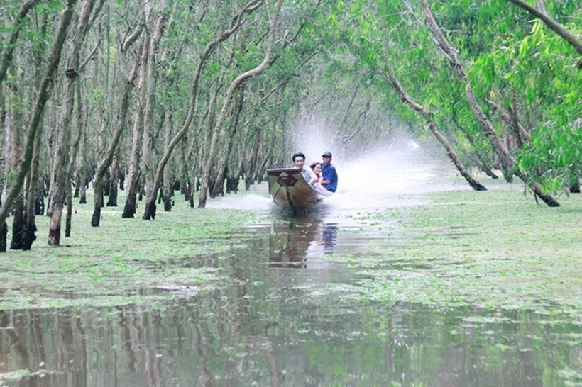 Rừng tràm Trà Sư.