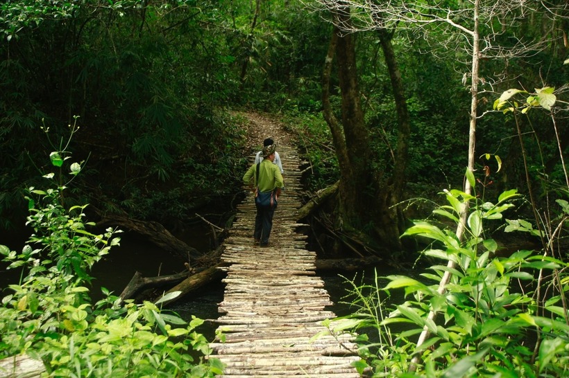 Trekking xuyên rừng là hoạt động được nhiều du khách yêu thích nhất khi đến với rừng Nâm Nung.