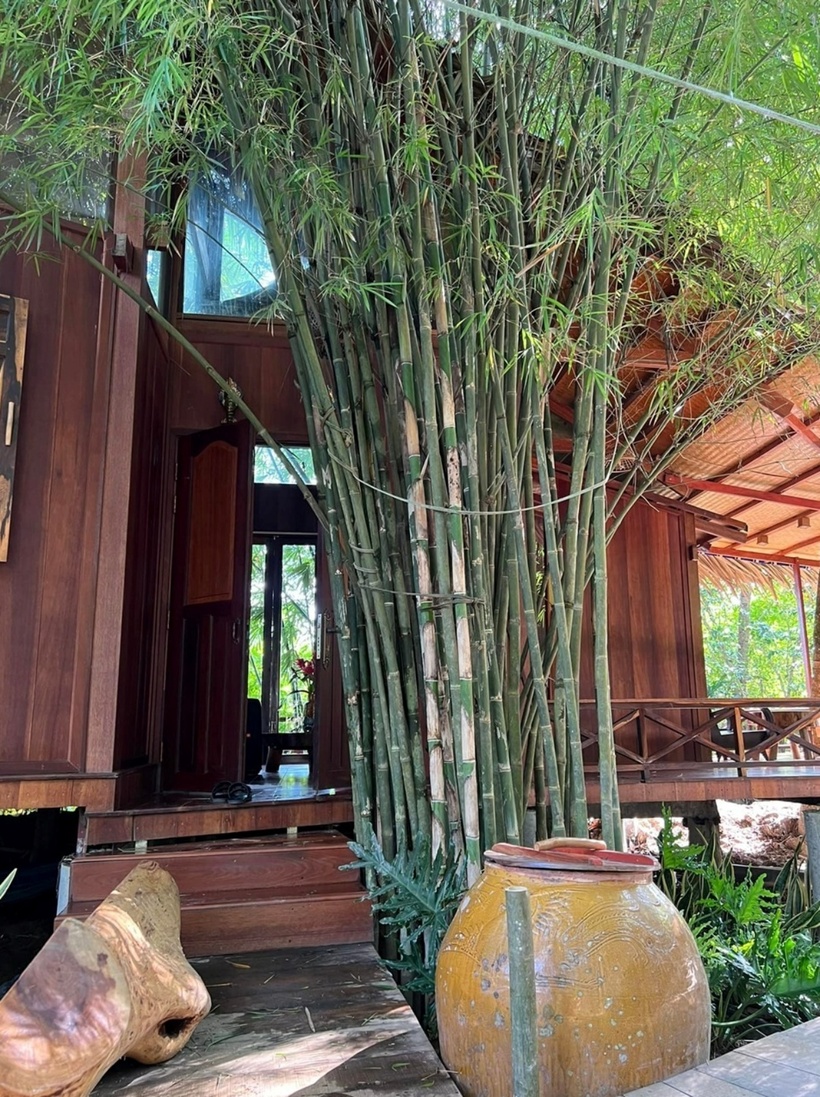 Nữ diễn viên giữ nguyên hệ sinh thái vốn có của khu đất, chỉ cải tạo, xây dựng thêm một số hạng mục nên nơi đây có không gian vô cùng gần gũi với thiên nhiên, vừa đơn sơ, mộc mạc lại vừa mát mẻ, thoáng đãng.