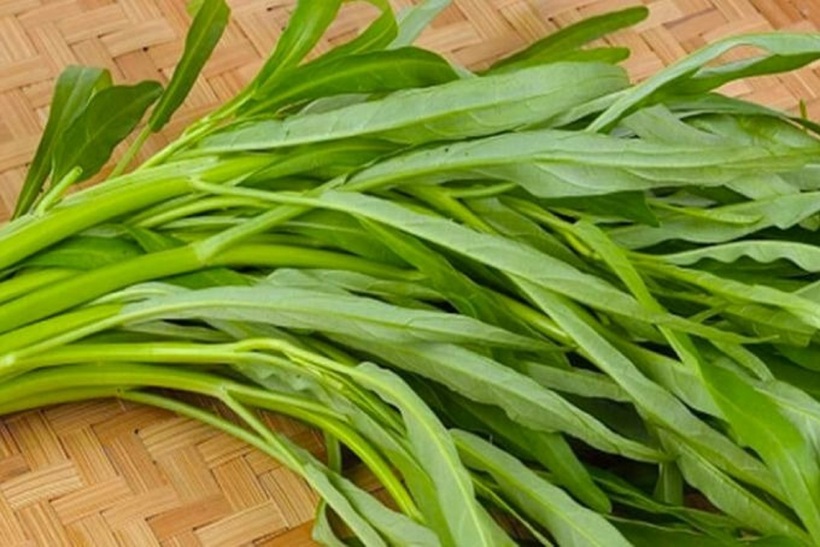 Rau muống thường được trồng ở môi trường nước, nơi tiềm ẩn nhiều nguy cơ nhiễm ký sinh trùng, vi khuẩn và các chất độc hại.