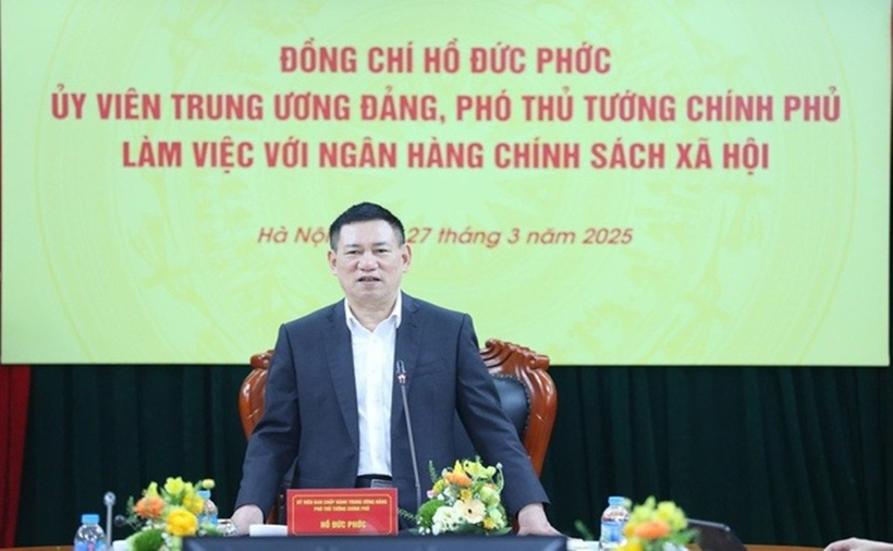 Phó Thủ tướng Chính phủ Hồ Đức Phớc phát biểu tại phiên họp (Ảnh: VGP).