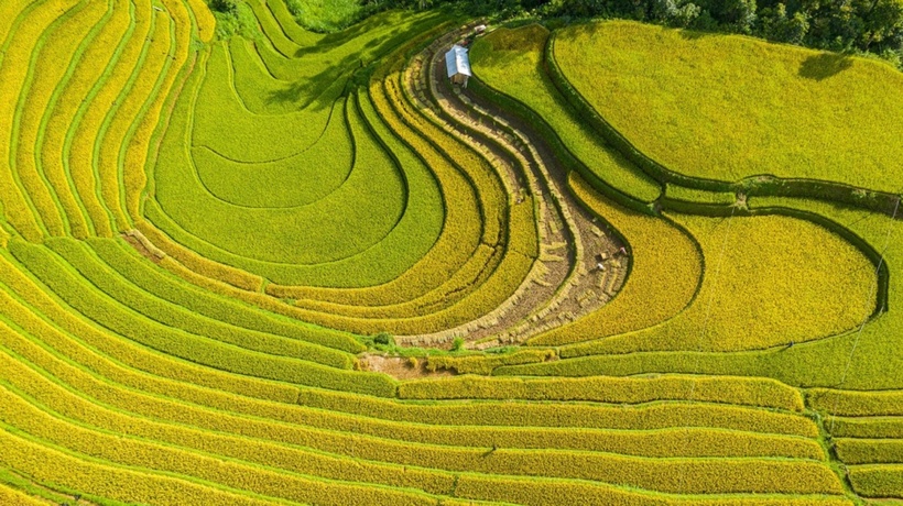 Đến Sa Pa, du khách không khỏi ngỡ ngàng trước vẻ đẹp hùng vĩ của những thửa ruộng bậc thang trải dài đến tận chân trời. Ảnh minh họa.