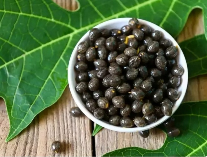 Loại hạt thường bị vứt đi nhưng lại là “thần dược” giải độc gan - 1