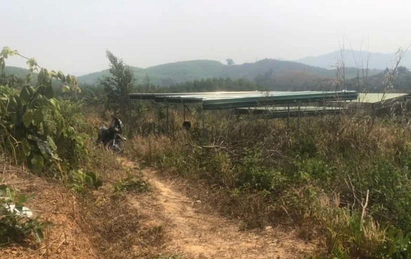 Khu vực hiện trường phát hiện nam thanh niên tử vong trong tư thế treo cổ. Ảnh: PLO