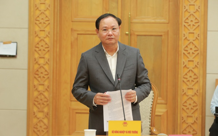 Thứ trưởng Bộ Nông nghiệp và Môi trường Lê Minh Ngân báo cáo tại phiên họp (Ảnh: VGP).
