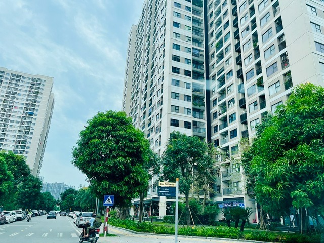 Hình minh họa.